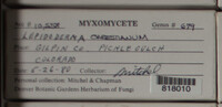Image Associated With the Occurence